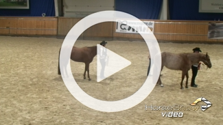 Play video